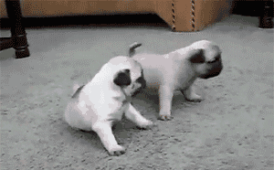 KKUAgxx.gif