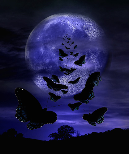 fantasy_40783.jpg