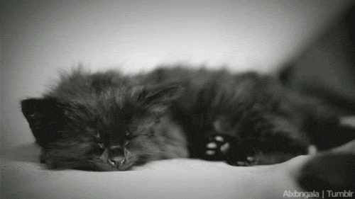 C8ekqCE.gif