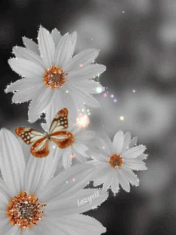 6e2df804ceec5b68653a975ab02af327.gif