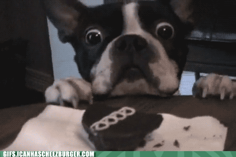 UxggfSYnkkqc3A54RwJt8w2.gif