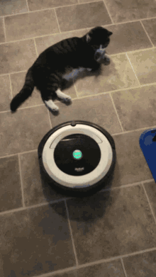 cat-roomba.gif