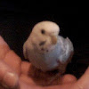 photo.jpg