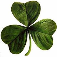 220px-Irish_clover.jpg