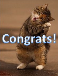 cat-congrats.JPG