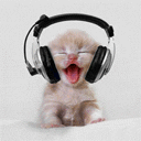 giphy.gif