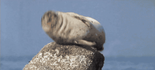 these-hiccups-are-putting-me-on-edge