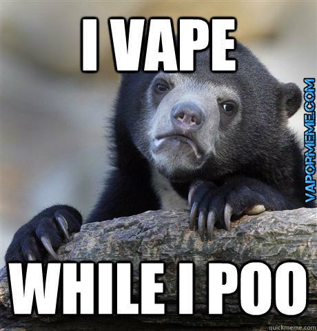 e9645728771c42519fcd59af76b5d7e9--bear-meme-bears.jpg