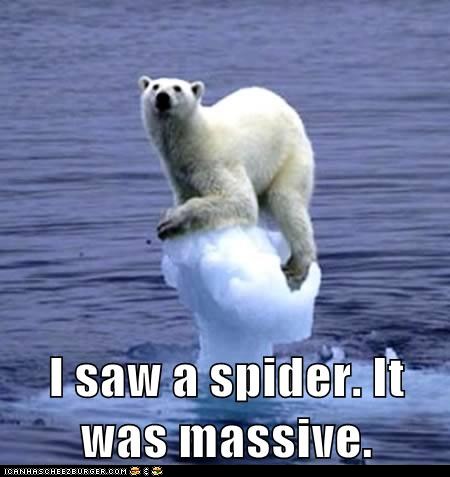 funny-animal-captions-animal-capshunz-is-it-gone.jpg