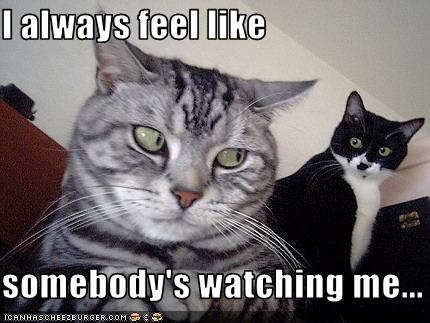 somebodys-watching-me.jpg