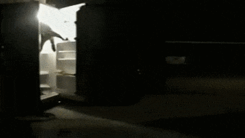 giphy.gif