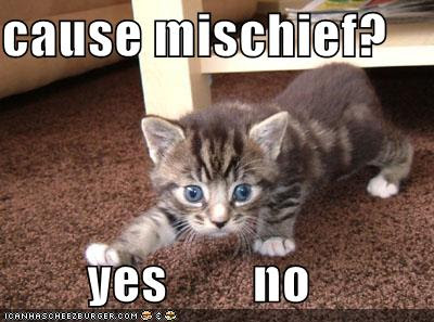 cause+mischief.jpg