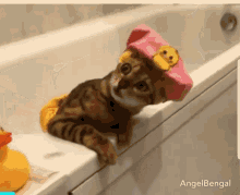 kitty-bathtime.gif