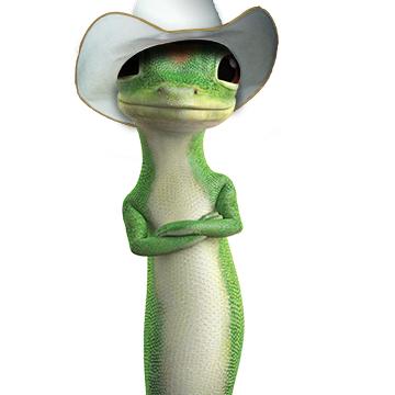 geico-cowboy-gecko*400xx360-360-0-61.jpg