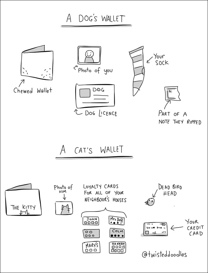 dog-wallet-vs-cat-wallet.jpg