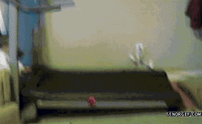 ani_treadmill-toddler.gif