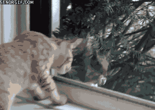 Gm7H.gif