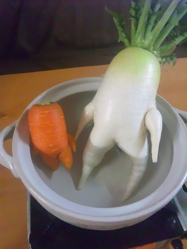 funny-shaped-vegetables-fruits-15.jpg