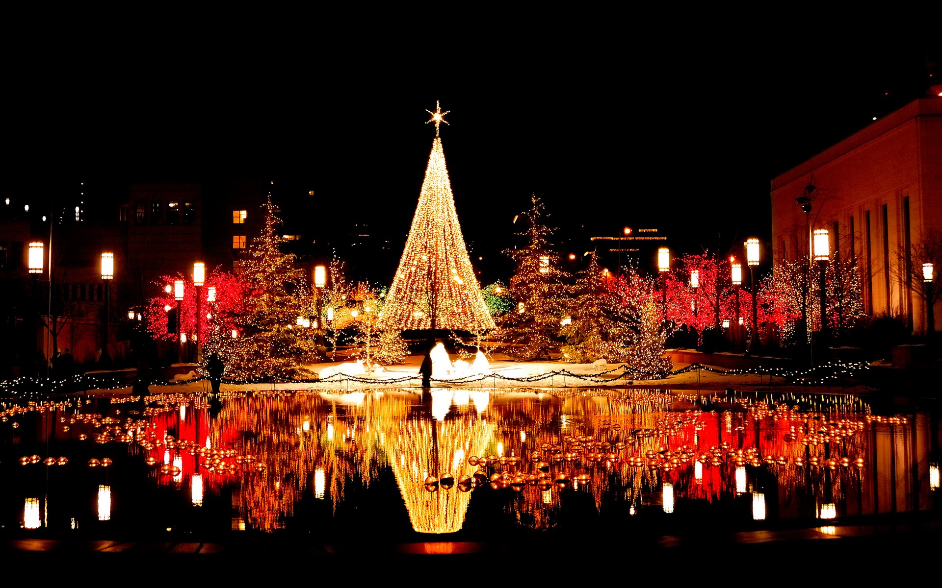 christmas_nights-wide.jpg