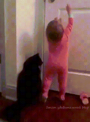125726_original.gif