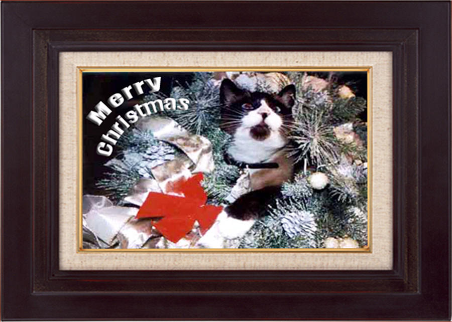 1-merry-christmas-eve-riser-roberts.jpg