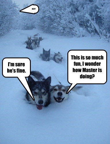 just-keep-sledding-just-keep-sledding