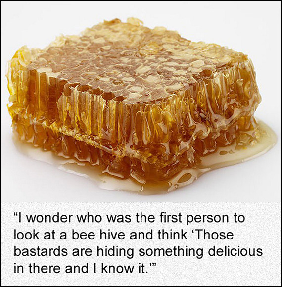 first-to-eat-honey.jpg