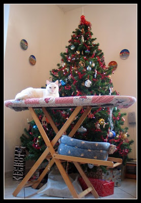 pet-xmas-02.jpg