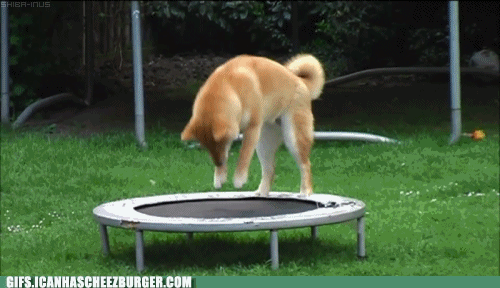LaTWFLoTU0OUr4wBRJAQAg2.gif