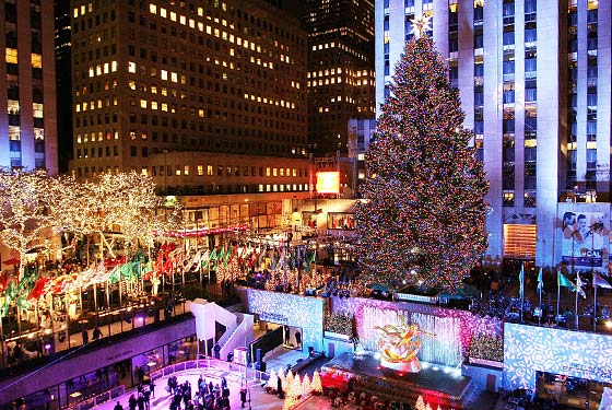 rockcentertree081201_560.jpg