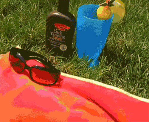 giphy.gif