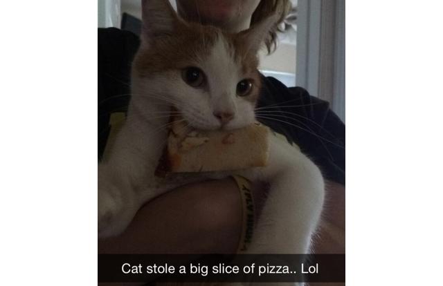 1D6ECA4OM36S5TVD-cp6x177x625x893-fram640x414x640x414xxxx