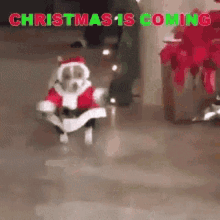 merry-christmas-christmas-is-coming.gif