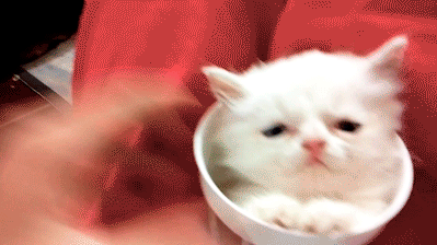 P21G.gif