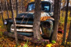d77307358bb5a6e7a437fbfd6dd960dd.jpg