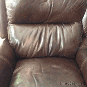 too-much-turkey