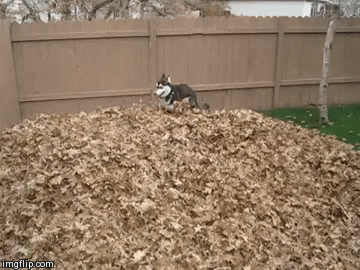 88d0d9226d62da159d7703dbcba7e075.gif