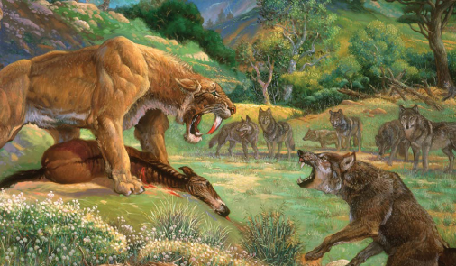 dire-wolf.jpg