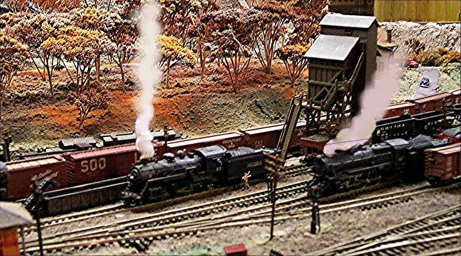 Yard.JPG