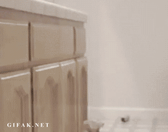 d31a9a24e52dd0726921d3eb867463ac.gif