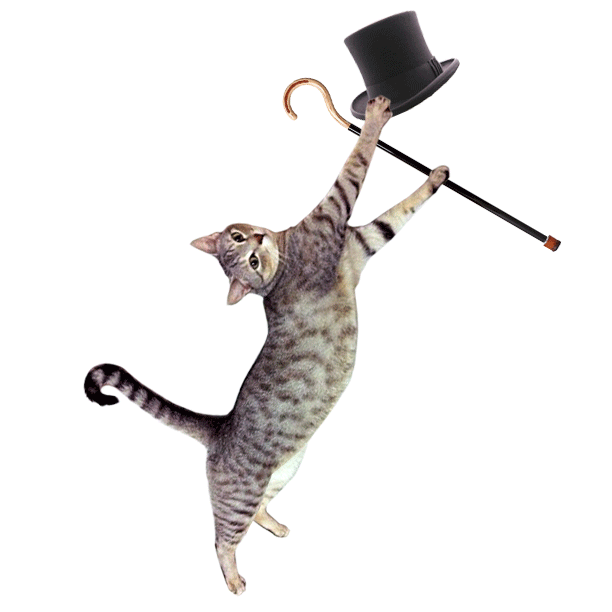 2gvjy7D.gif