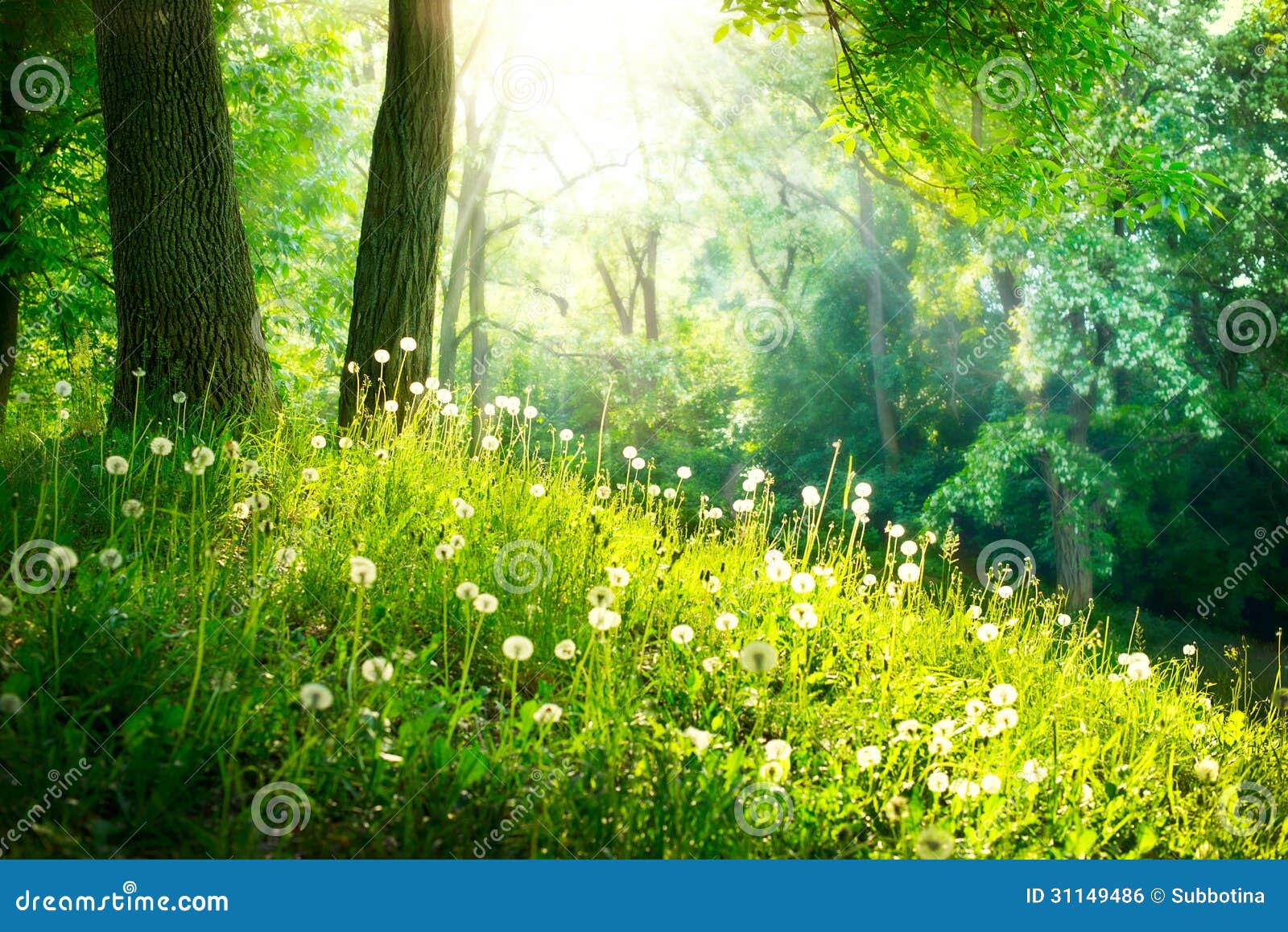 landscape-green-grass-trees-spring-nature-beautiful-31149486.jpg