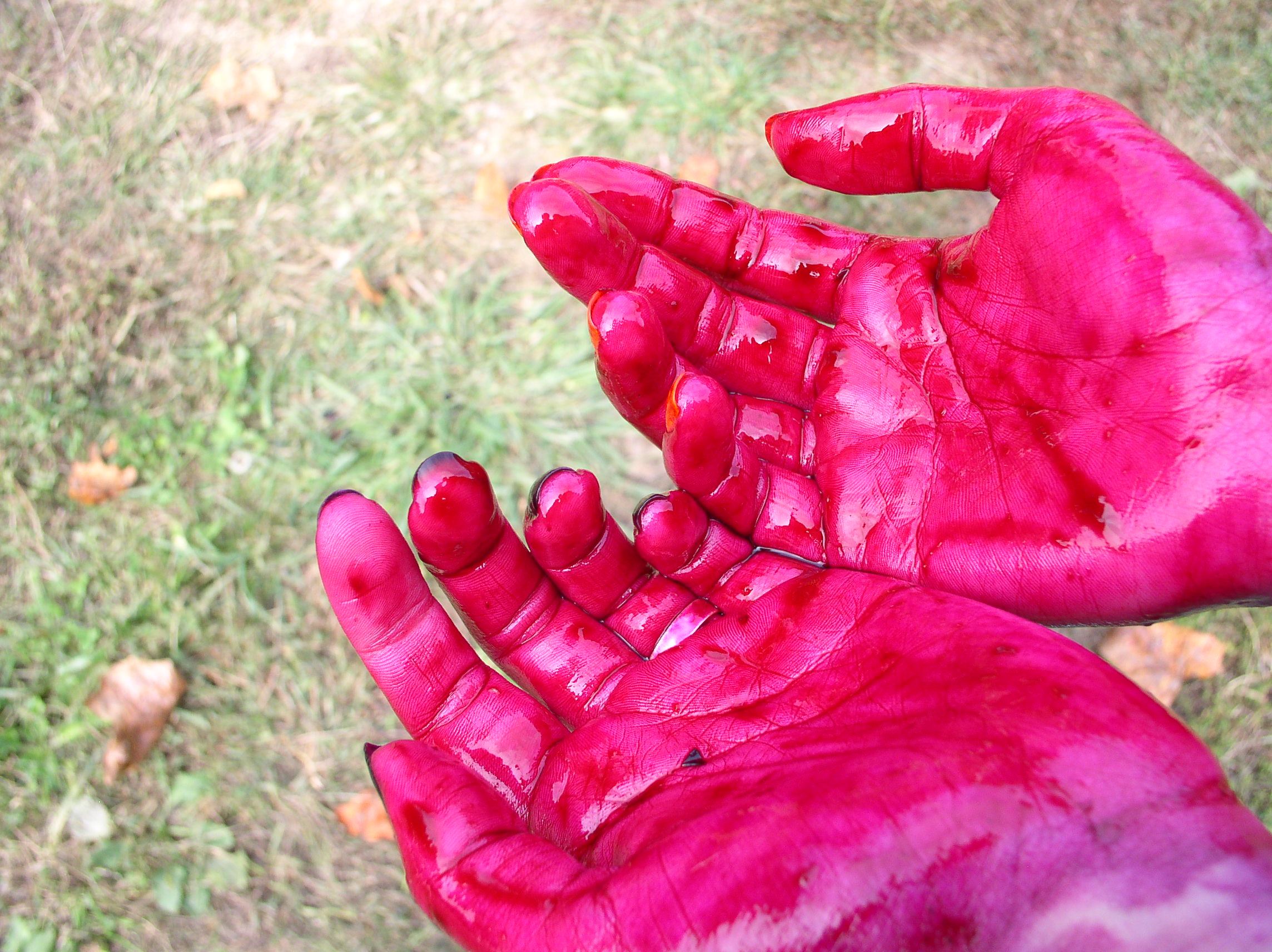 fall2010-339.jpg
