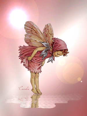 e770c01e584845c92e43fc2dd93295a5.gif