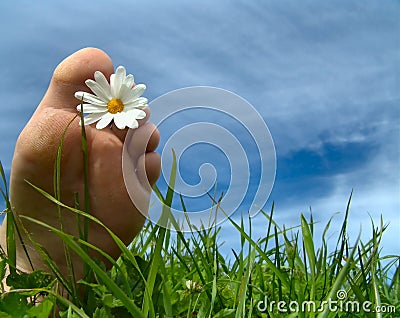 summertime!-thumb8302.jpg