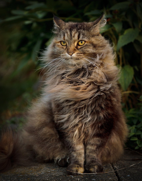 untitled-0197-L.jpg