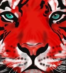 fd1d20ff8f47a8f2b8626f051dd6d561.jpg