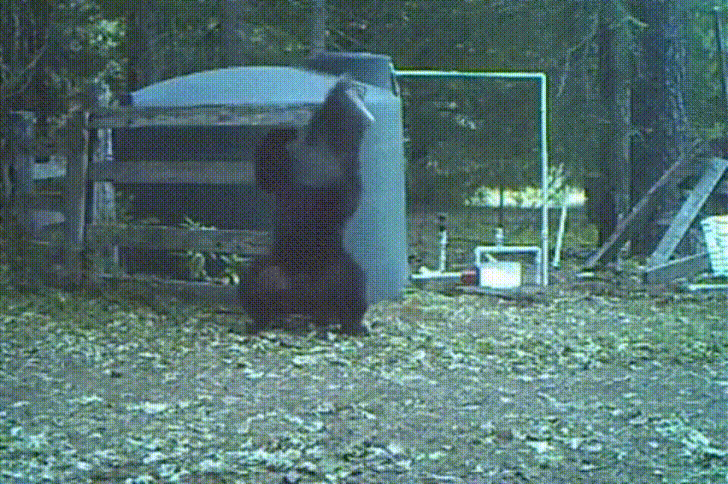TqgRUJX.gif