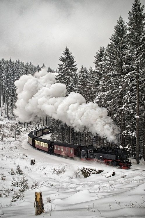 Snow-Train-The-Black-Forest-Germany.jpg