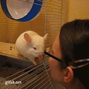 JmVRrbi.gif